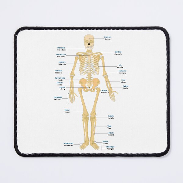 Item preview, Bones of the Body designed and sold by NF Designs Studio DTF.
