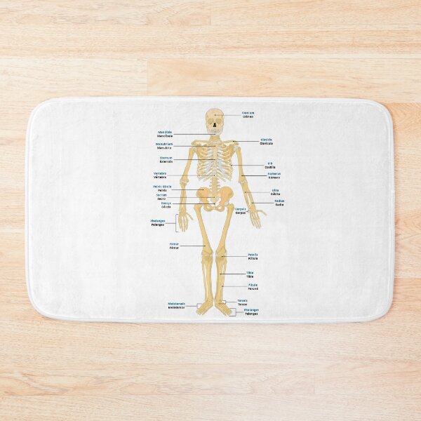 Item preview, Bones of the Body designed and sold by NF Designs Studio DTF.