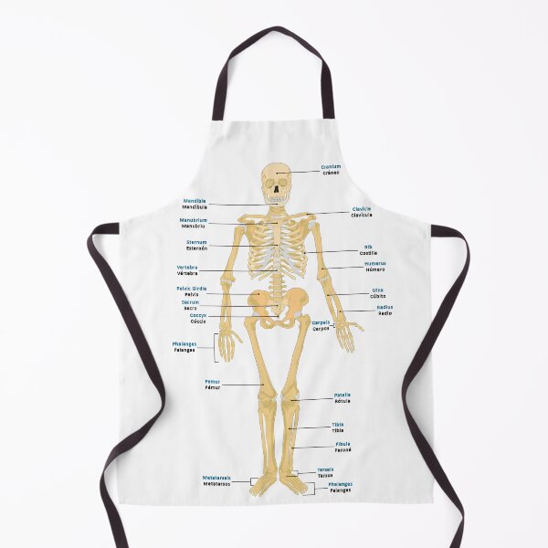 Item preview, Bones of the Body designed and sold by NF Designs Studio DTF.