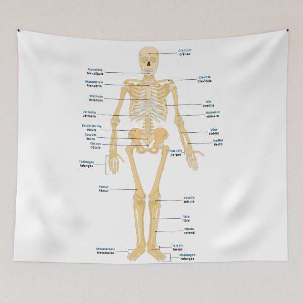 Item preview, Bones of the Body designed and sold by NF Designs Studio DTF.