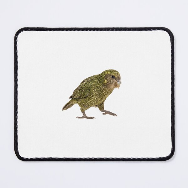 Item preview, Kākāpō Parrot Illustration | Realistic Flightless Bird Art designed and sold by HelgaCraftery.