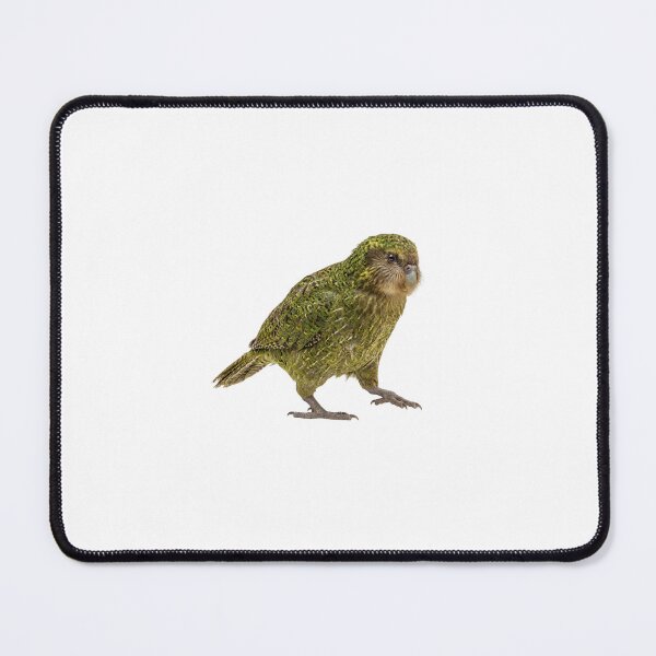 Item preview, Kākāpō Parrot Illustration | Realistic Flightless Bird Art designed and sold by HelgaCraftery.