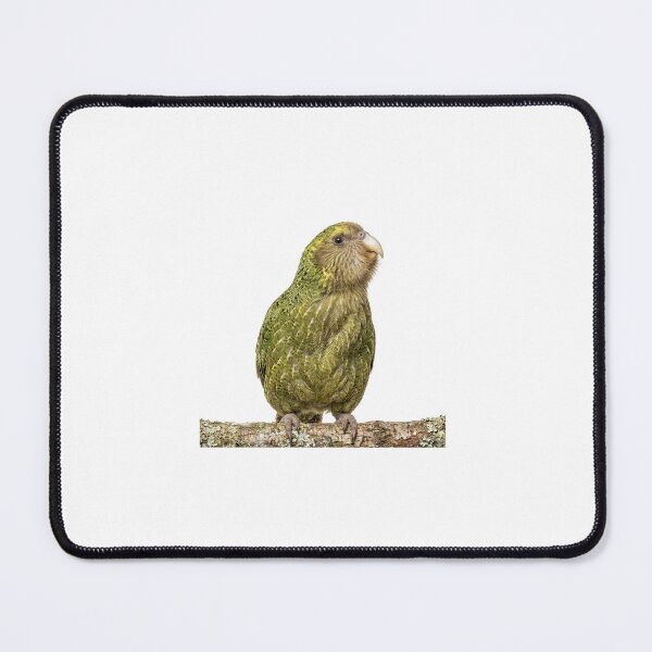 Item preview, Kākāpō Parrot Illustration | Realistic Flightless Bird Art designed and sold by HelgaCraftery.