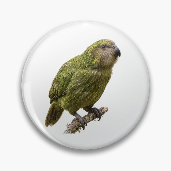 Item preview, Kākāpō Parrot Illustration | Realistic Flightless Bird Art designed and sold by HelgaCraftery.