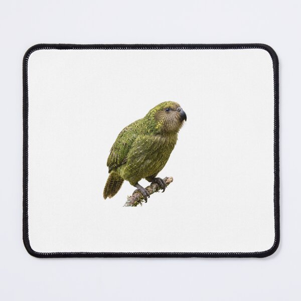 Item preview, Kākāpō Parrot Illustration | Realistic Flightless Bird Art designed and sold by HelgaCraftery.