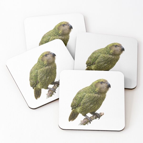 Item preview, Kākāpō Parrot Illustration | Realistic Flightless Bird Art designed and sold by HelgaCraftery.