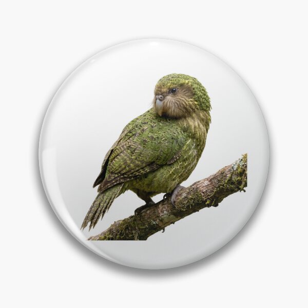 Item preview, Kākāpō Parrot Illustration | Realistic Flightless Bird Art designed and sold by HelgaCraftery.