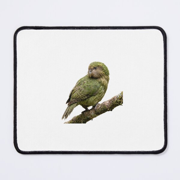 Item preview, Kākāpō Parrot Illustration | Realistic Flightless Bird Art designed and sold by HelgaCraftery.