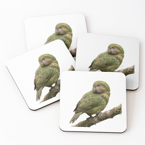 Item preview, Kākāpō Parrot Illustration | Realistic Flightless Bird Art designed and sold by HelgaCraftery.