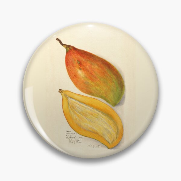 Item preview, Mangifera Indica Mango Bisected designed and sold by Glimmersmith.