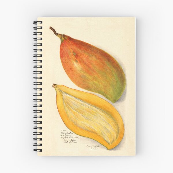 Item preview, Mangifera Indica Mango Bisected designed and sold by Glimmersmith.