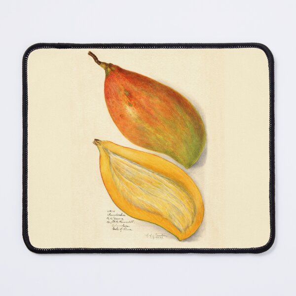 Item preview, Mangifera Indica Mango Bisected designed and sold by Glimmersmith.