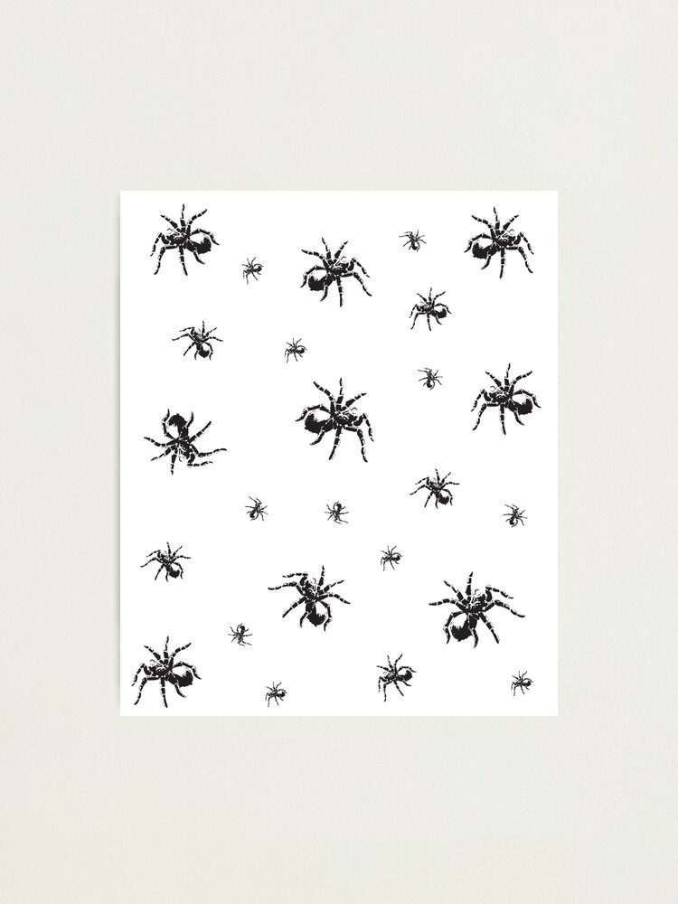 "Tarantula Spider Pattern Black And White" Photographic Print For Sale ...