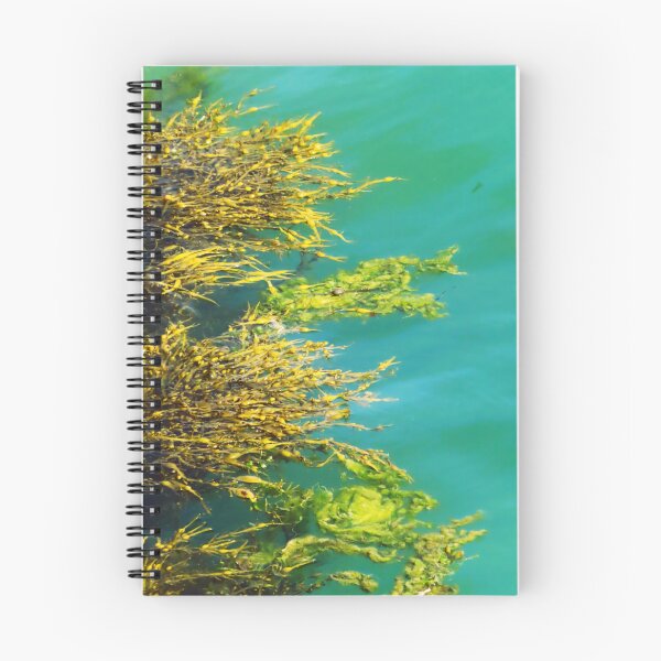 Item preview, Marine plants designed and sold by ART22.