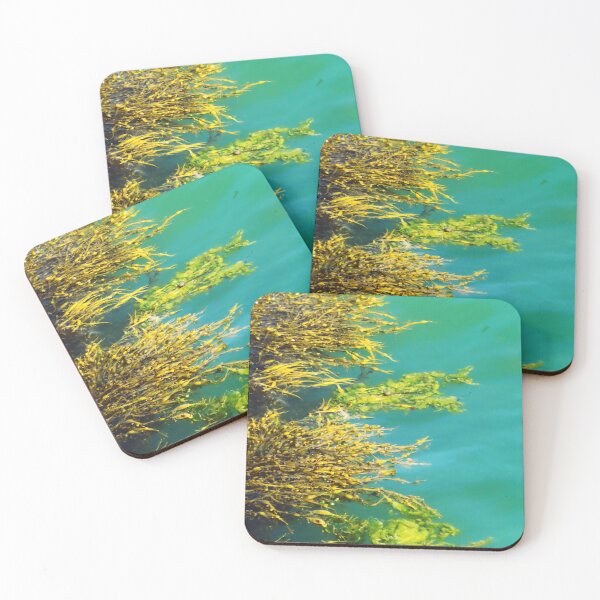 Item preview, Marine plants designed and sold by ART22.
