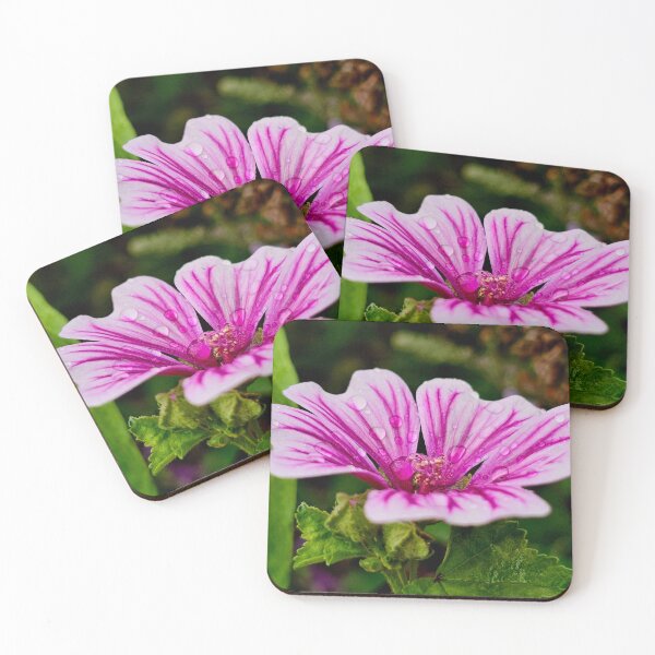 Item preview, Raindrop Mallow designed and sold by MaddysMStudio.