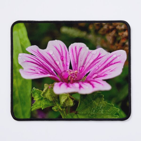 Item preview, Raindrop Mallow designed and sold by MaddysMStudio.