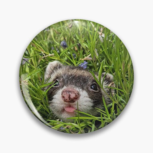 Item preview, Ferrets in flowers during spring  designed and sold by MadelineFriend1.