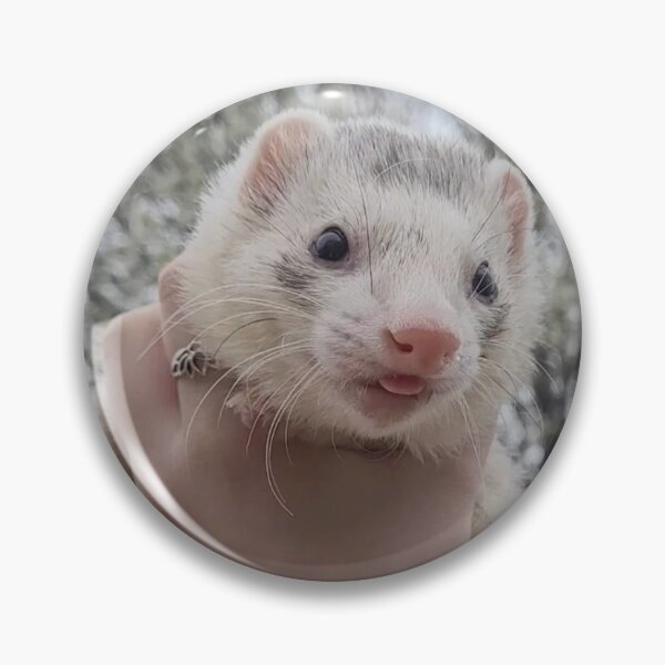 Item preview, Ferrets and flowers designed and sold by MadelineFriend1.