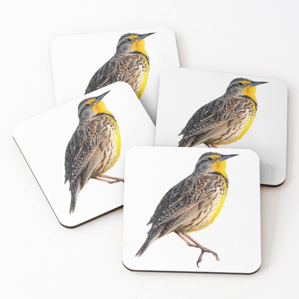 Item preview, Western Meadowlark designed and sold by kyra0nicole.