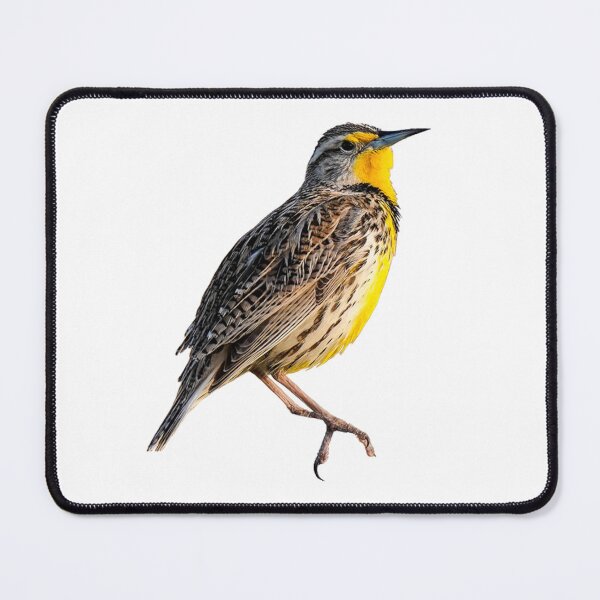 Item preview, Western Meadowlark designed and sold by kyra0nicole.