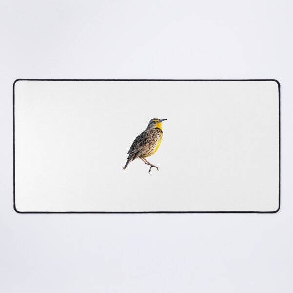 Item preview, Western Meadowlark designed and sold by kyra0nicole.
