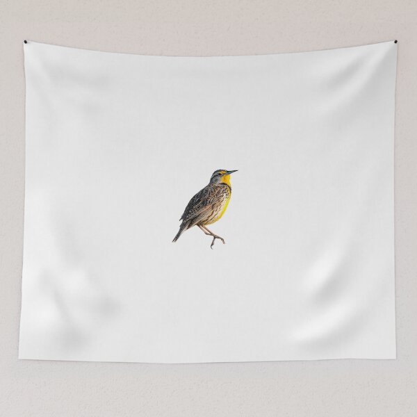Item preview, Western Meadowlark designed and sold by kyra0nicole.