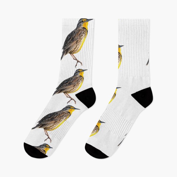 Item preview, Western Meadowlark designed and sold by kyra0nicole.