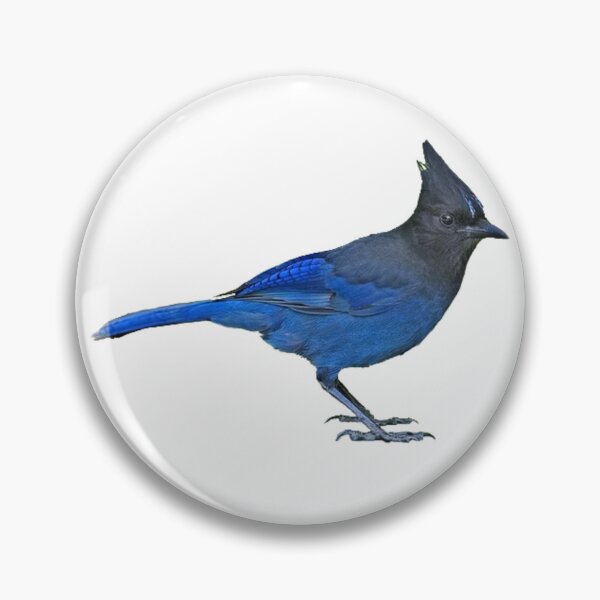 Item preview, Steller’s Jay designed and sold by kyra0nicole.