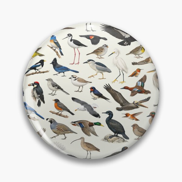 Item preview, Native Birds of California Ornithology Identification Chart designed and sold by kakarikihill.