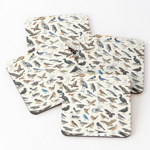 Item preview, Native Birds of California Ornithology Identification Chart designed and sold by kakarikihill.