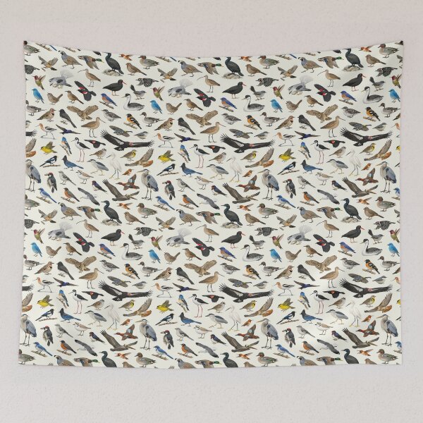 Item preview, Native Birds of California Ornithology Identification Chart designed and sold by kakarikihill.