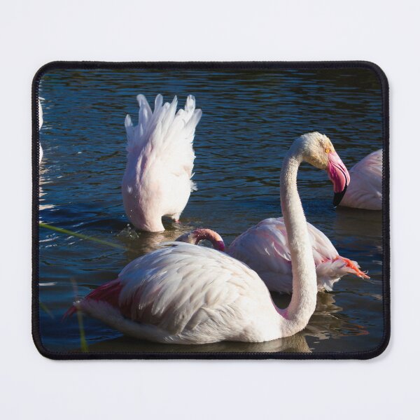 Item preview, Photograph of Flamingoes in the Camargue designed and sold by mortal perspective .
