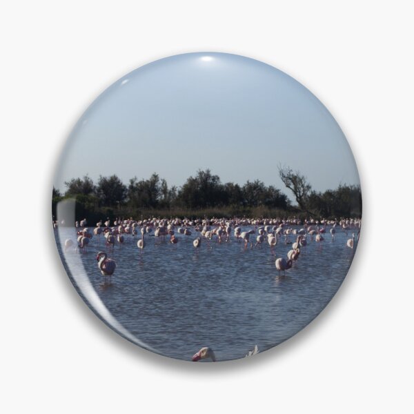 Item preview, Photograph of Flamingoes in the Camargue  designed and sold by mortal perspective .