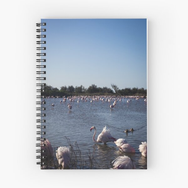 Item preview, Photograph of Flamingoes in the Camargue  designed and sold by mortal perspective .