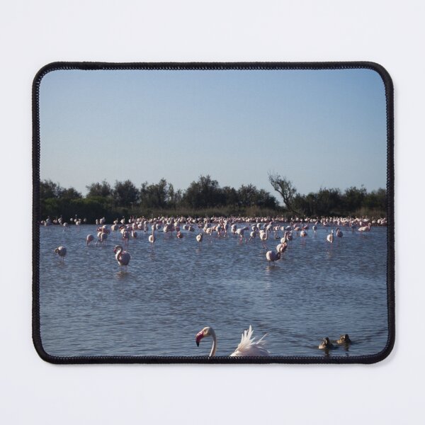 Item preview, Photograph of Flamingoes in the Camargue designed and sold by mortal perspective .