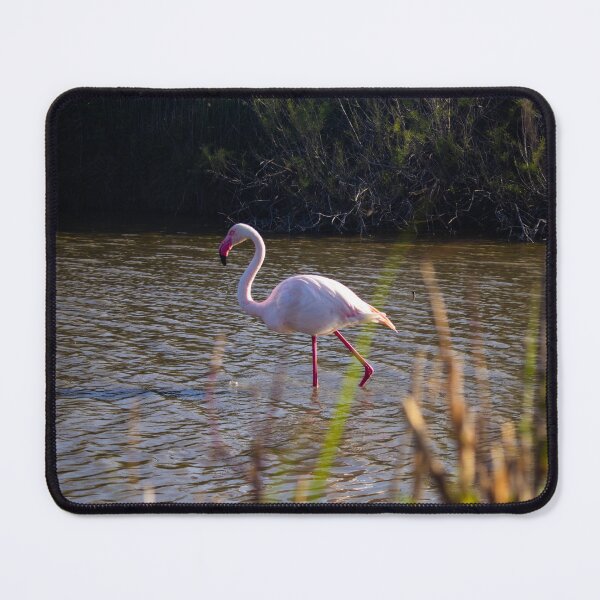 Item preview, Photograph of Flamingoes in the Camargue designed and sold by mortal perspective .