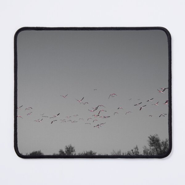 Item preview, Photograph of Flamingoes in the Camargue designed and sold by mortal perspective .