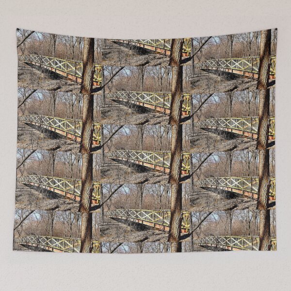 Item preview, Tne Foobridge in the Pheasant Branch Conservancy designed and sold by Martha Sherman.