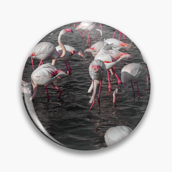 Item preview, Photograph of Flamingoes in the Camargue  designed and sold by mortal perspective .
