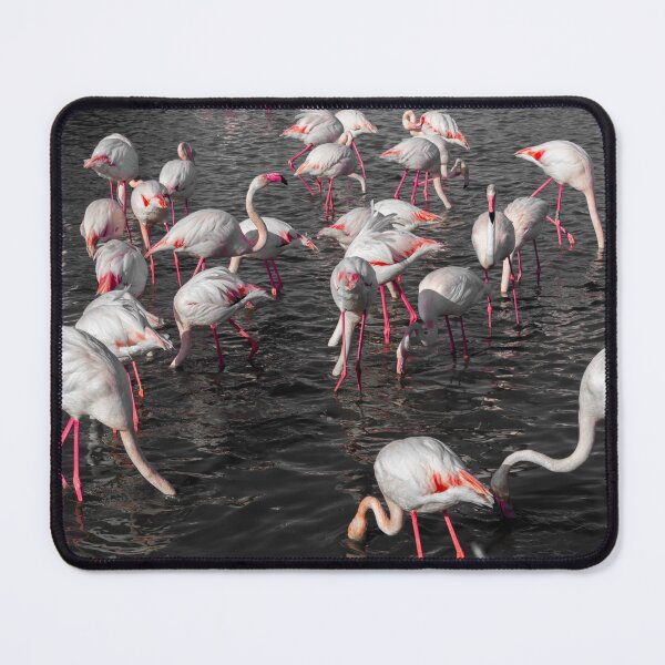 Item preview, Photograph of Flamingoes in the Camargue designed and sold by mortal perspective .