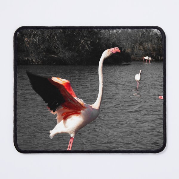 Item preview, Photograph of Flamingoes in the Camargue designed and sold by mortal perspective .