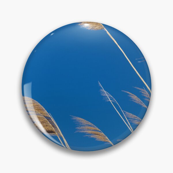 Item preview, Photograph of wheat in the Camargue designed and sold by mortal perspective .