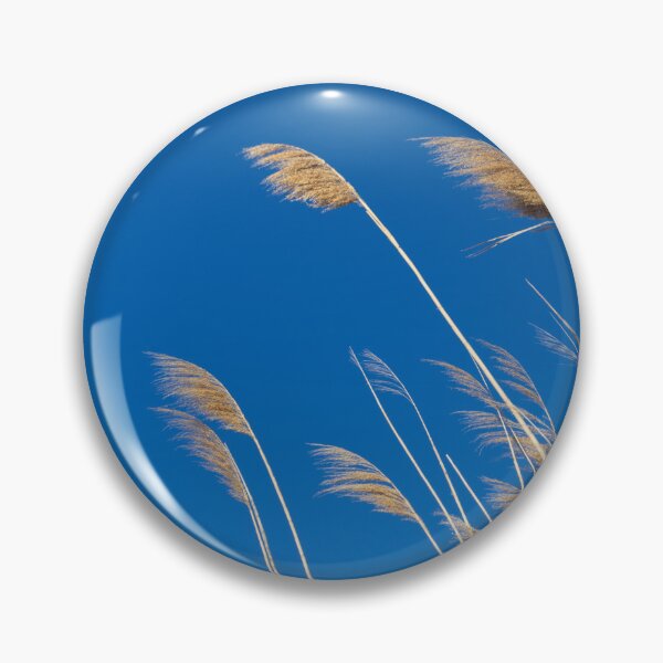 Item preview, Photograph of wheat in the Camargue designed and sold by mortal perspective .