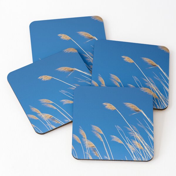 Item preview, Photograph of wheat in the Camargue designed and sold by mortal perspective .