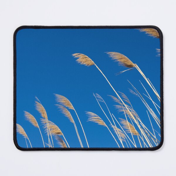 Item preview, Photograph of wheat in the Camargue designed and sold by mortal perspective .