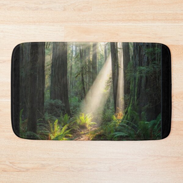 Item preview, Nature photography - sunshine rainforest  designed and sold by Nexus Space.
