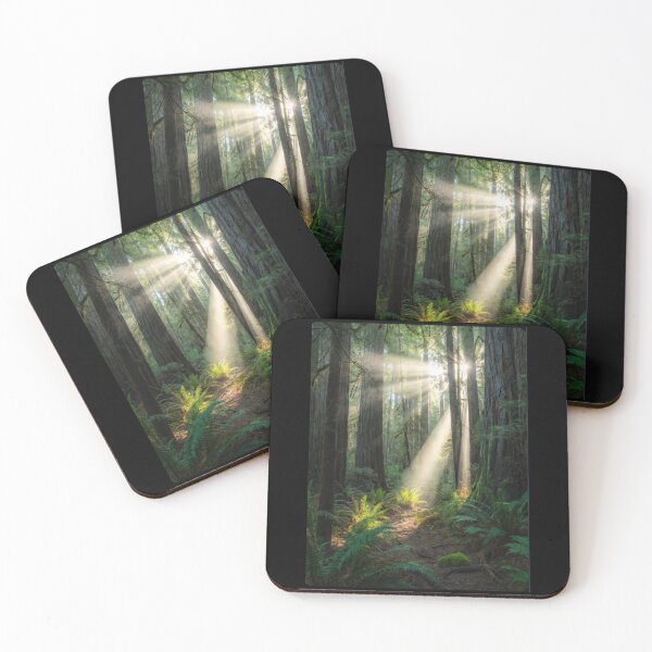 Item preview, Nature photography - sunshine rainforest  designed and sold by Nexus Space.