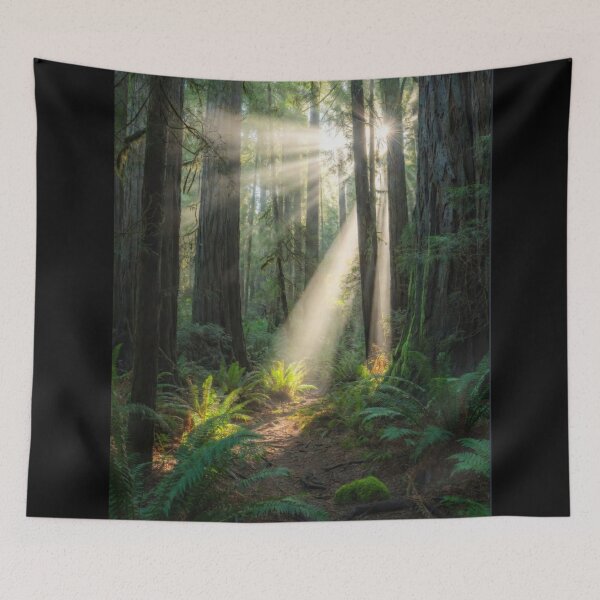 Item preview, Nature photography - sunshine rainforest  designed and sold by Nexus Space.