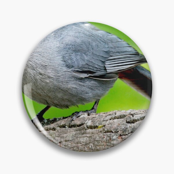 Item preview, Gray Catbird, Mockingbird Family Member, Animal Portrait designed and sold by AMacGPhilly.